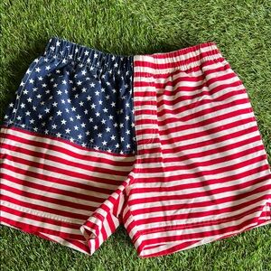 Chubbies Patriotic Stars and Stripes Shorts